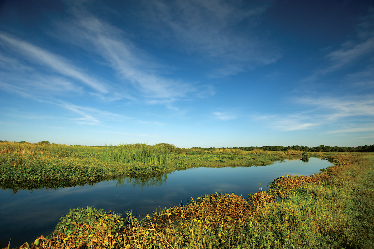 lehigh acres marsh