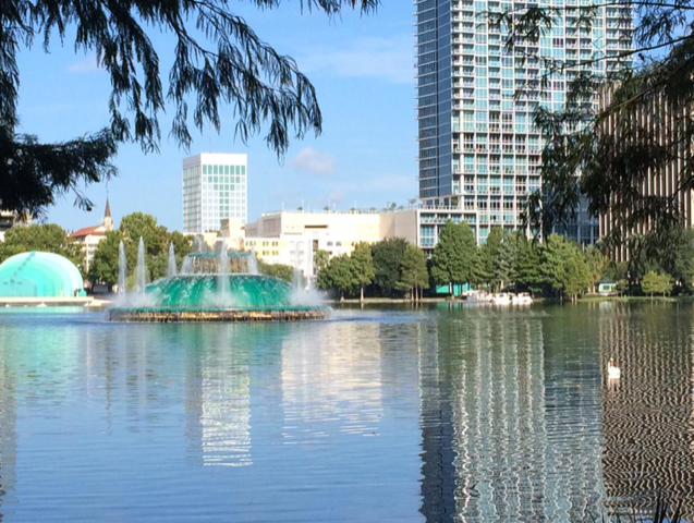 gray line_downtownlakeeola