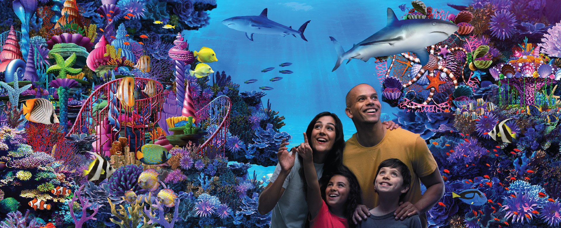 SEA LIFE Florida | LEGOLAND Florida