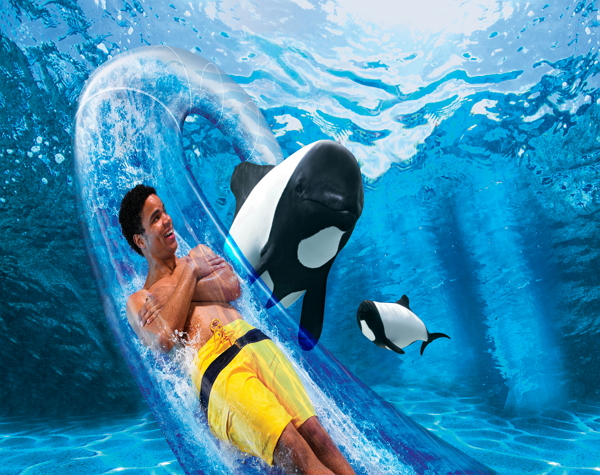 3 Parks For The Price Of 2 Seaworld Aquatica Busch Gardens Tickets