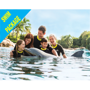 Orlando Swim with Dolphin Tickets and Tours (407) 378-7808